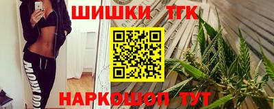 jwh Гатчина