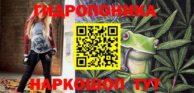 наркотики Гай