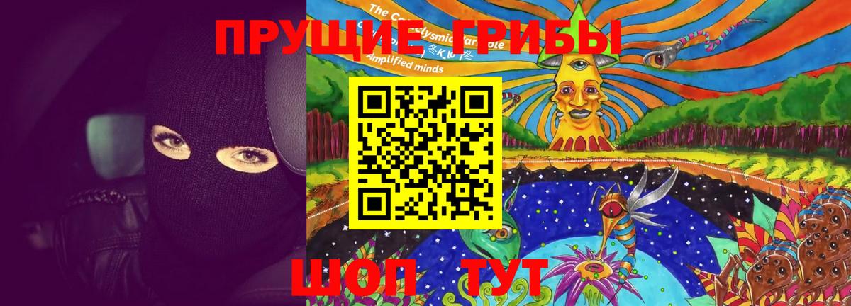 Назарово  Галлюциногенные грибы Psilocybine cubensis  Вход с VPN  Галлюциногенные грибы GOLDEN TEACHER 