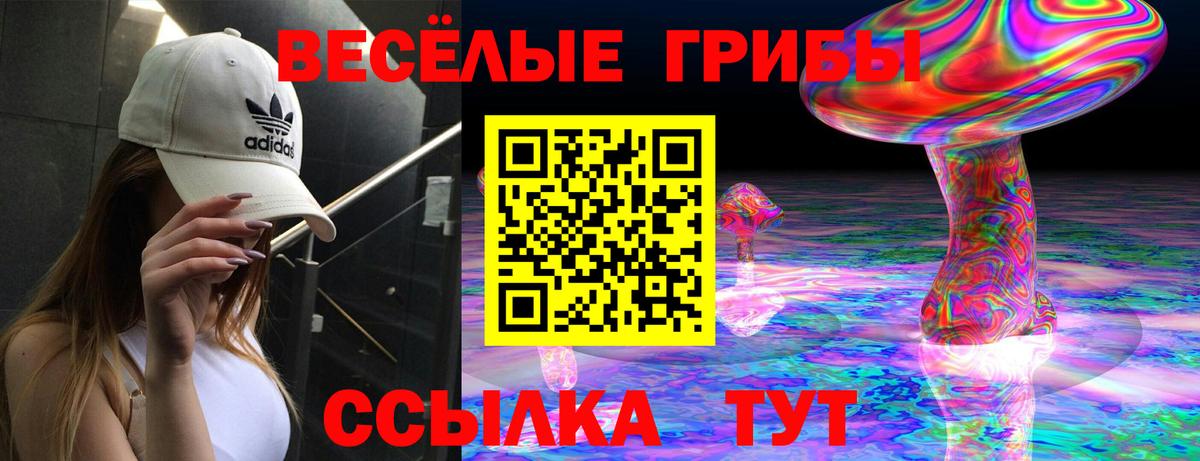 Псилоцибиновые грибы прущие грибы Назарово